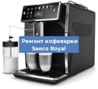 Чистка кофемашины Saeco Royal от накипи в Белгороде
